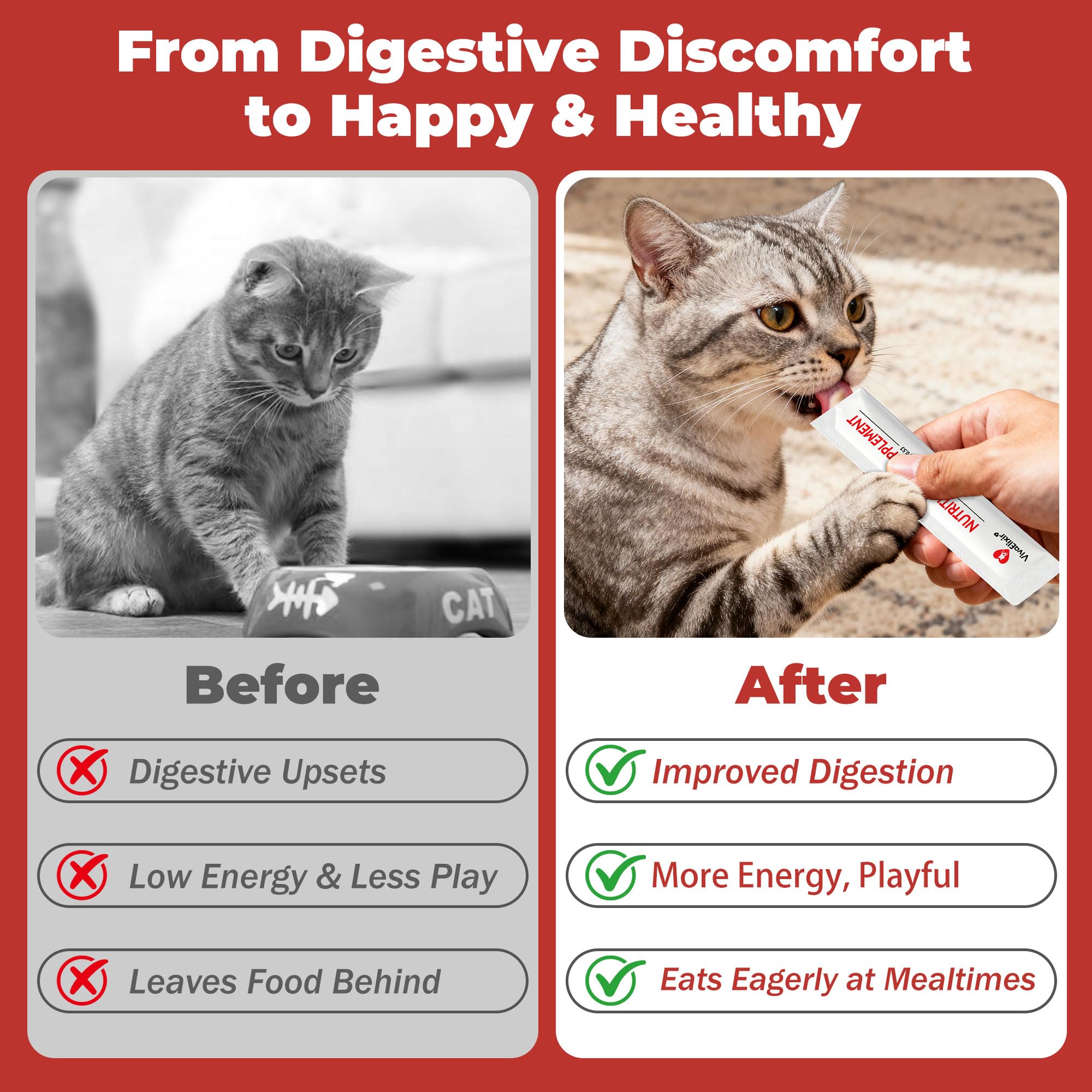 VivaElixir chat qui lèche le gel soulage digestion et apprécie le goût