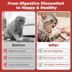 VivaElixir chat qui lèche le gel soulage digestion et apprécie le goût