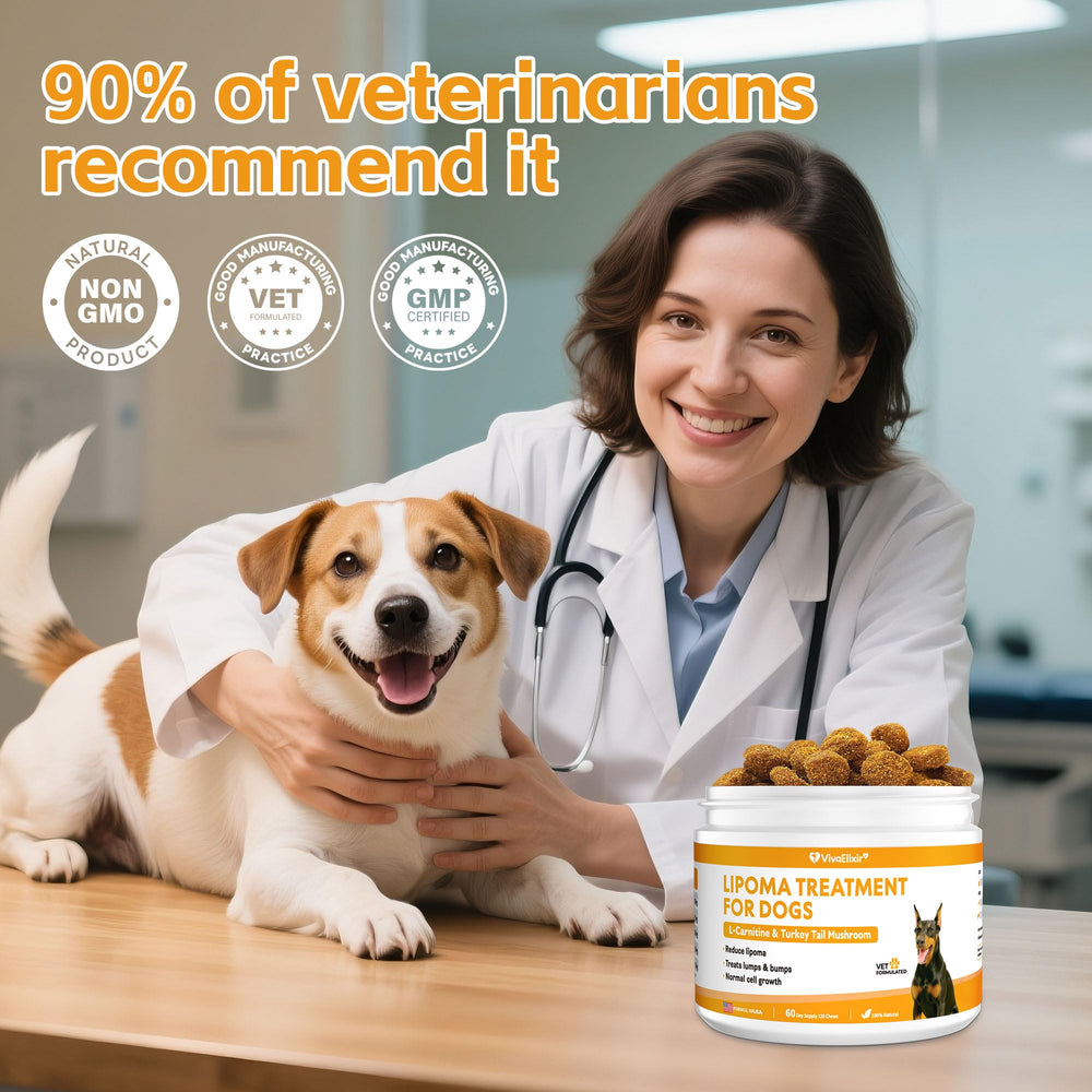 VivaElixir label ingrédients listant champignons médicinaux et antioxydants