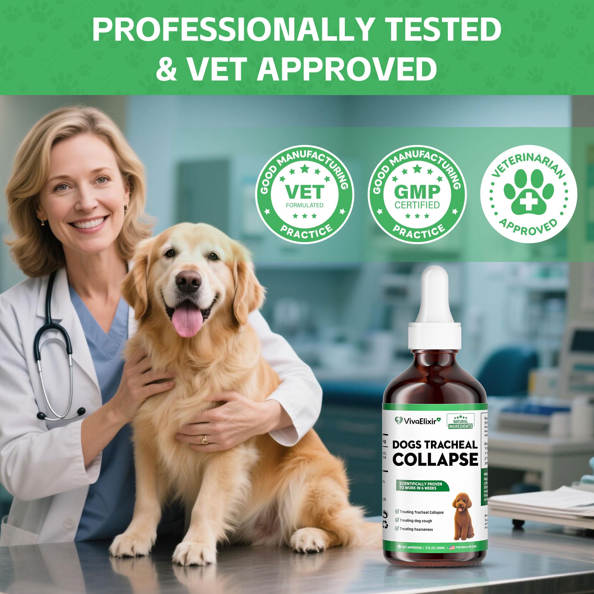 VivaElixir scène de chien au repos après administration pour respiration apaisée