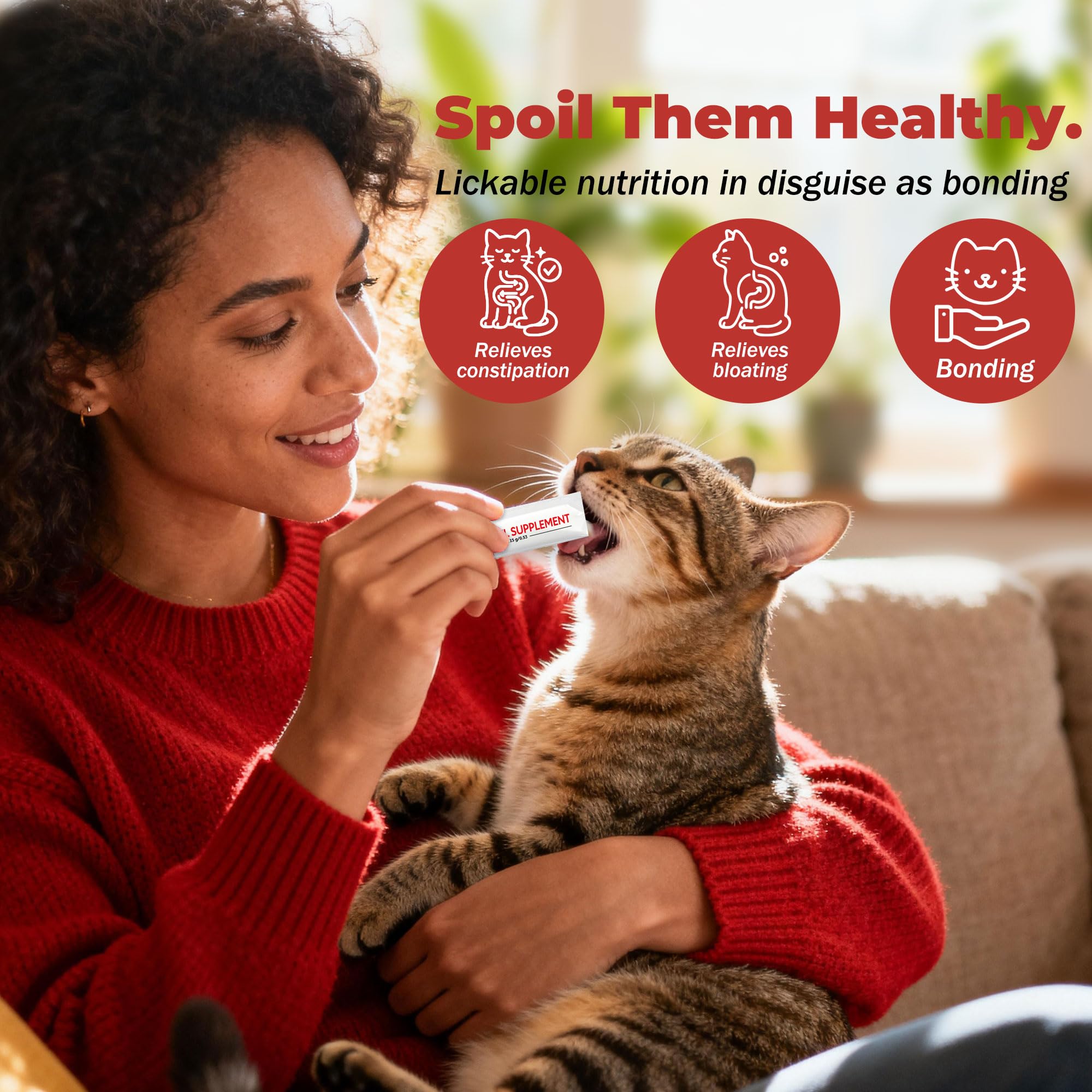 Chat acceptant VivaElixir dans un cadre familial montrant confort digestif amélioré