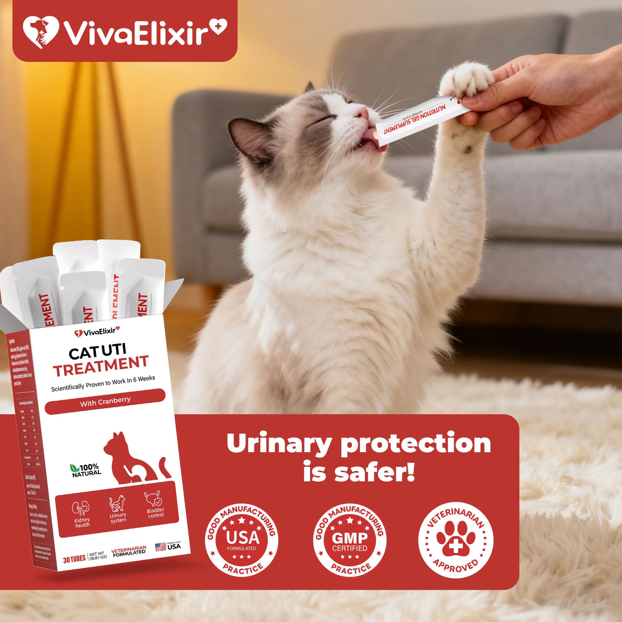VivaElixir moment dégustation lifestyle chat satisfait bénéfice soutien urinaire