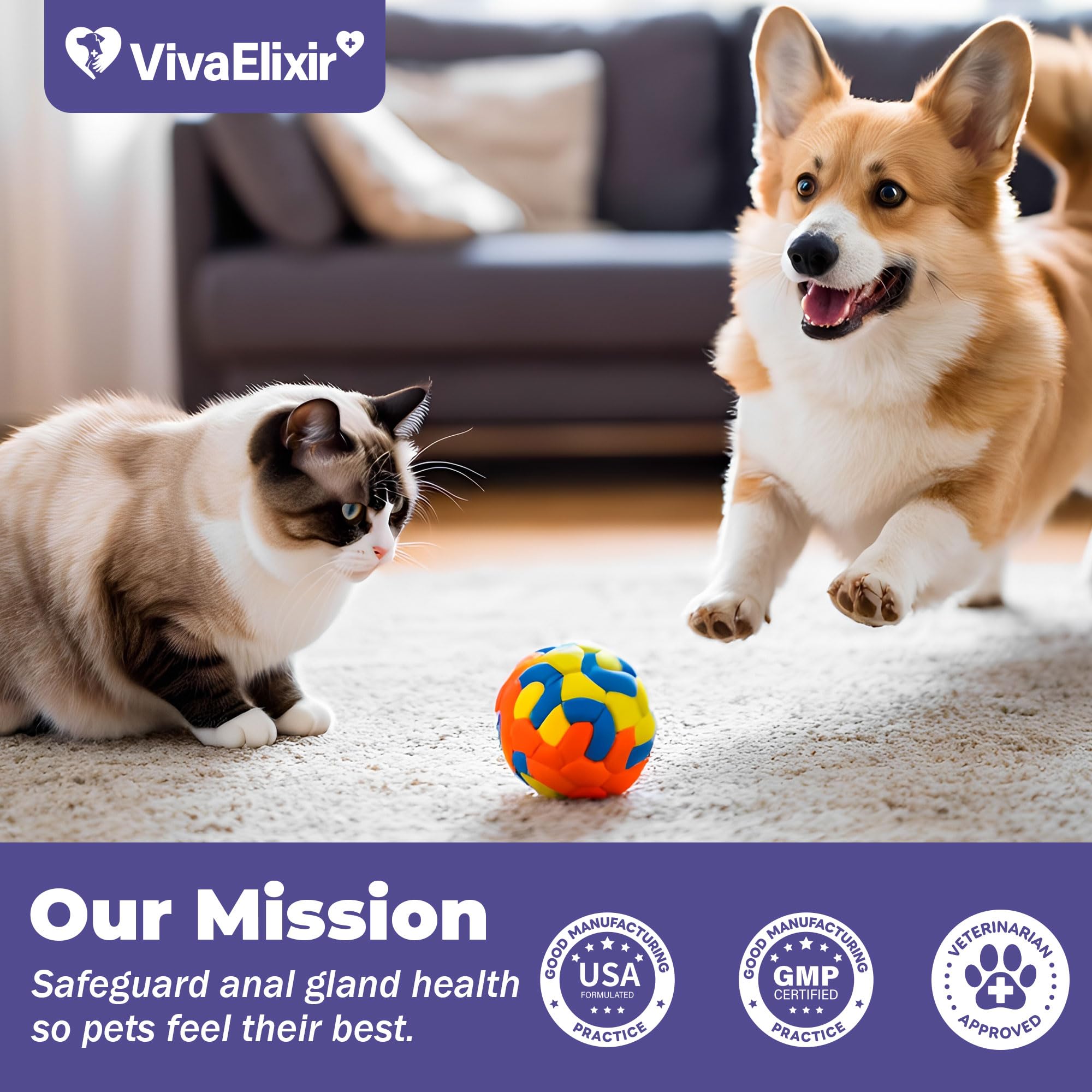 VivaElixir chien relaxé après utilisation montrant soulagement visible