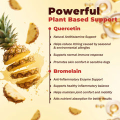 VivaElixir comprimé posé près d'ananas rappelant bromélaïne naturelle et action