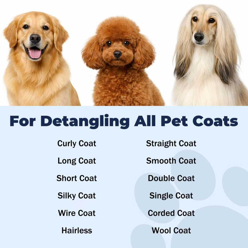 VivaElixir utilisation pendant le brossage minimisant traction et casse