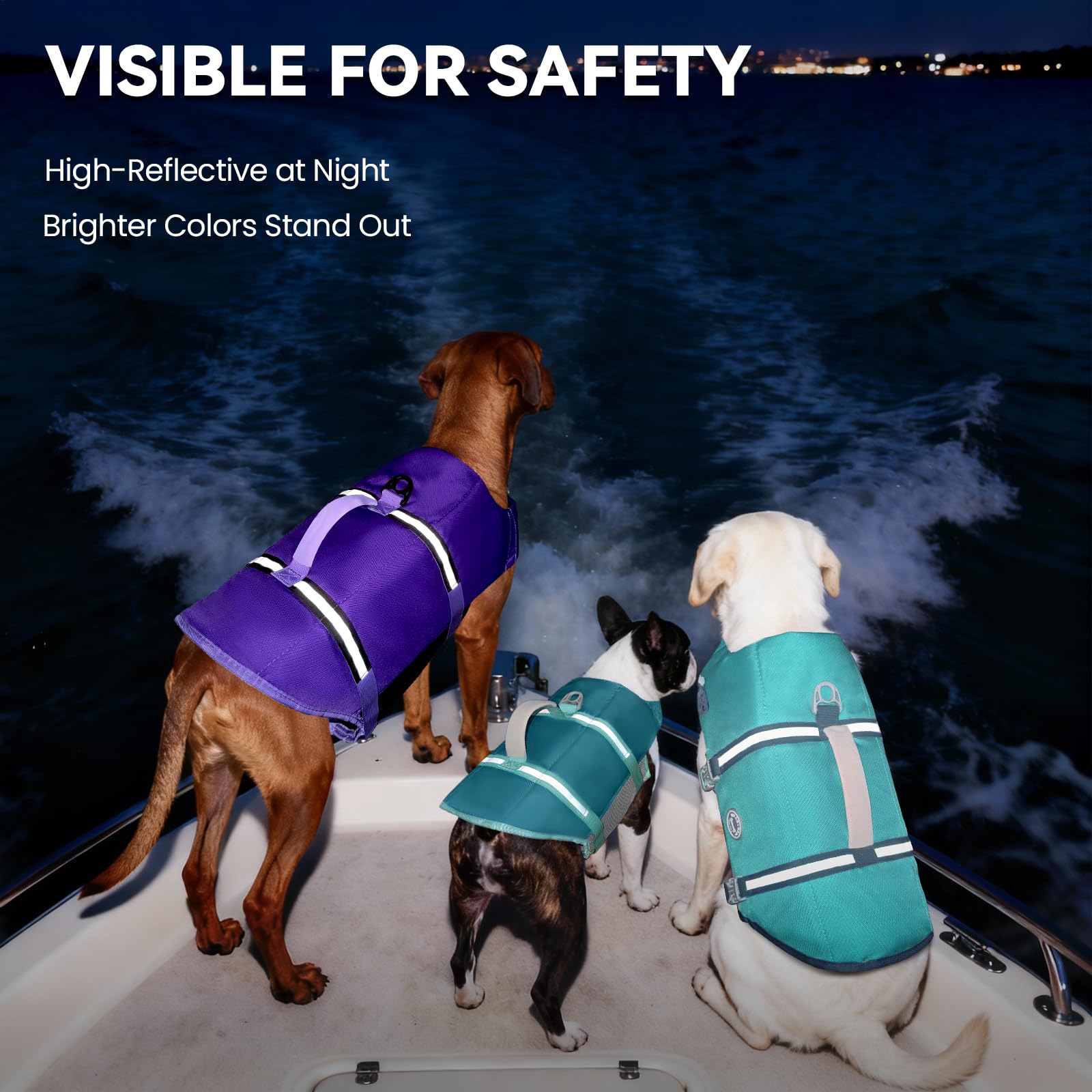 VIVAGLORY chien nageant en lac avec gilet cyan pour visibilité