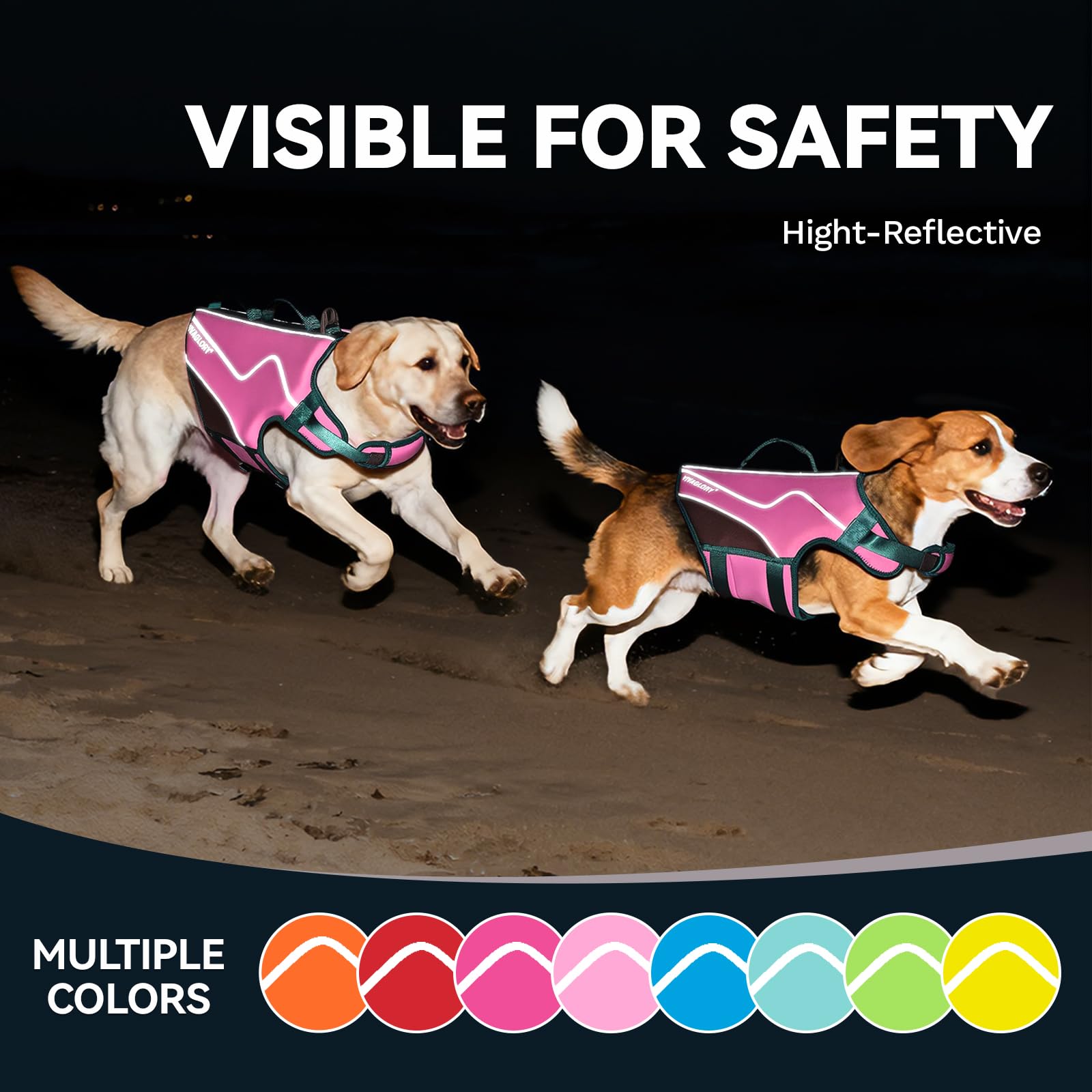 VIVAGLORY comparaison taille montrant ajustement S pour petits chiens