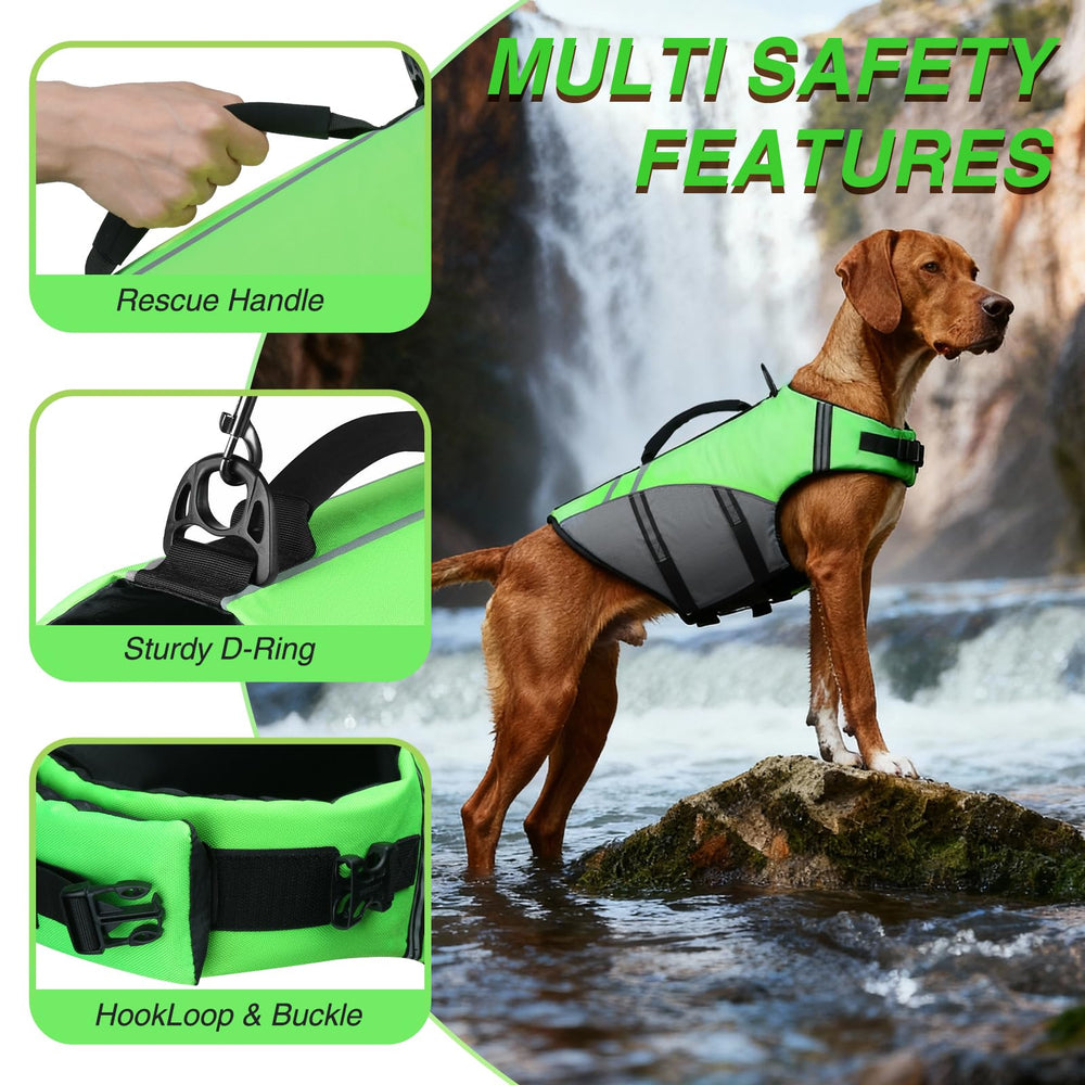 VIVAGLORY chien portant le gilet en nage montrant soutien stable