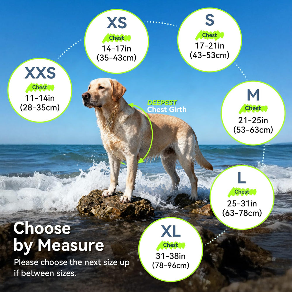 VIVAGLORY chien portant gilet à la plage pour tranquillité