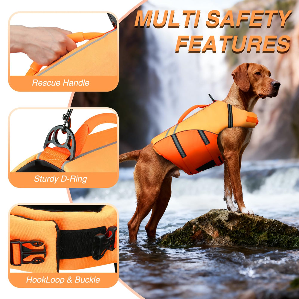 VIVAGLORY chien portant gilet au bord de l'eau pour protection