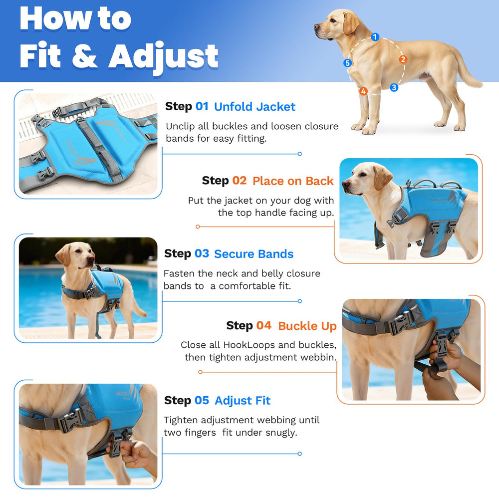 VIVAGLORY gilet placé à côté d'un chien pour comparaison de taille