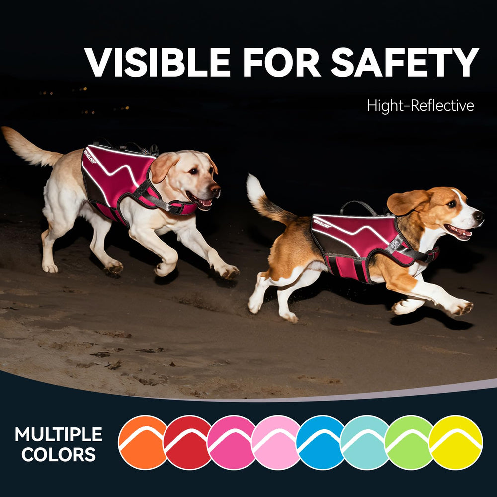 VIVAGLORY chien portant gilet sur plage pour sécurité nautique