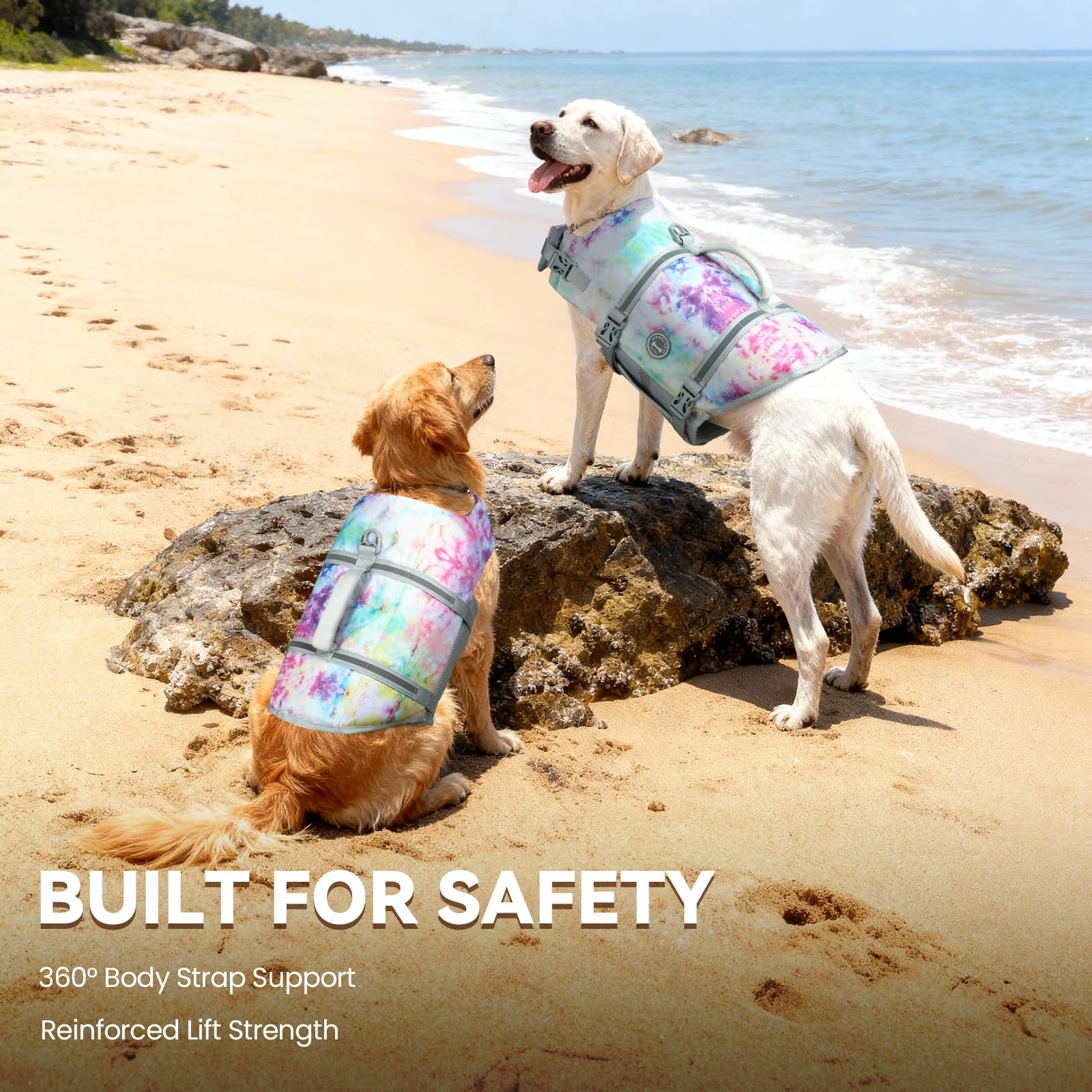 VIVAGLORY poignée robuste facilitant la sortie du chien de l'eau