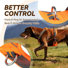 VIVAGLORY anneau dorsal D-ring solide pour promenades et activités sécurisées