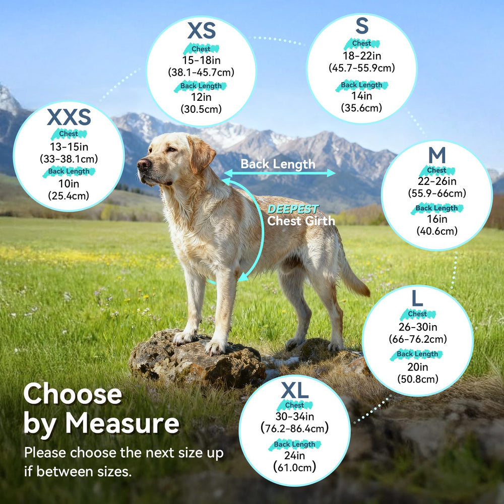 VIVAGLORY comparaison tailles et échelle guide de choix