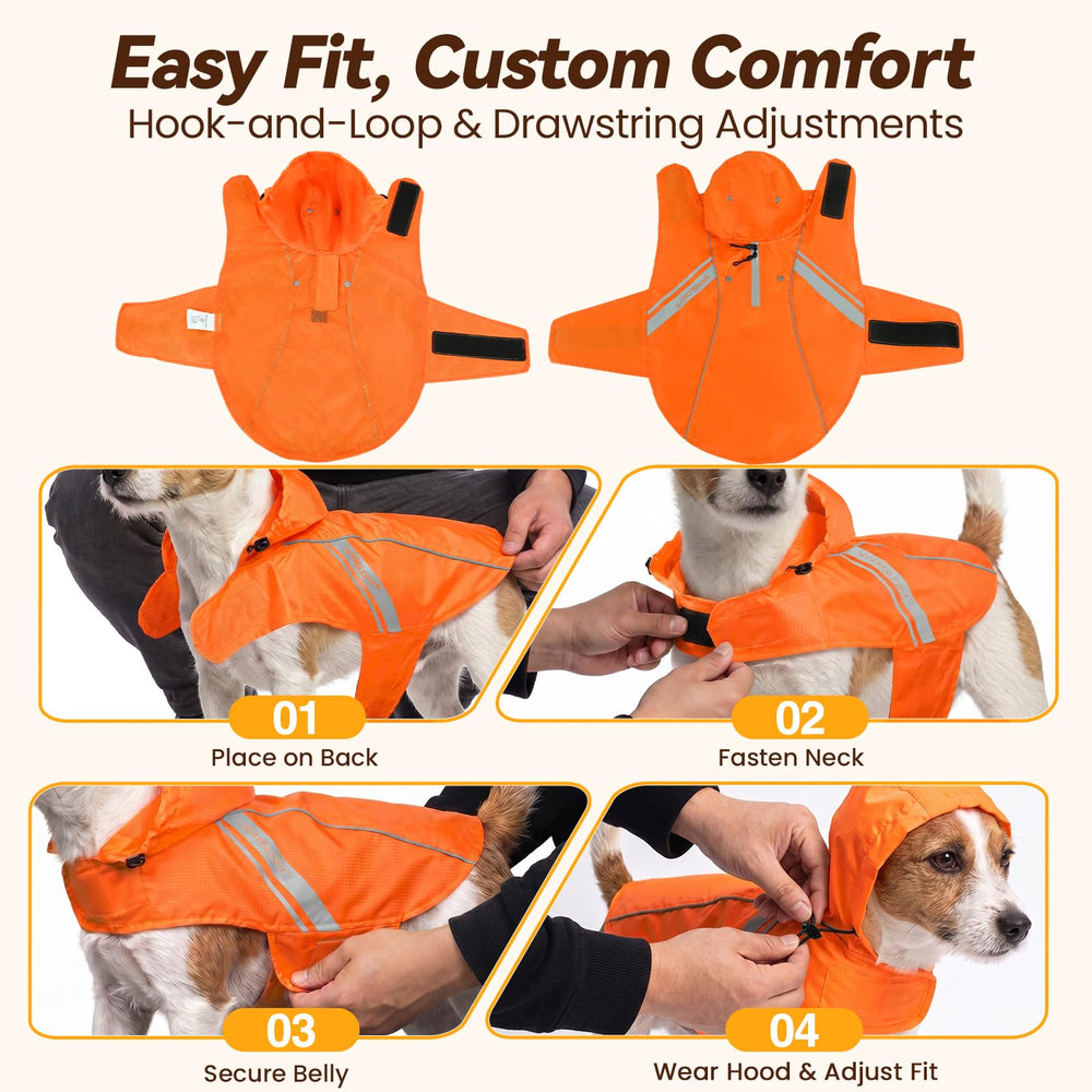 VIVAGLORY manteau porté par chien en promenade, mobilité et visibilité accrues