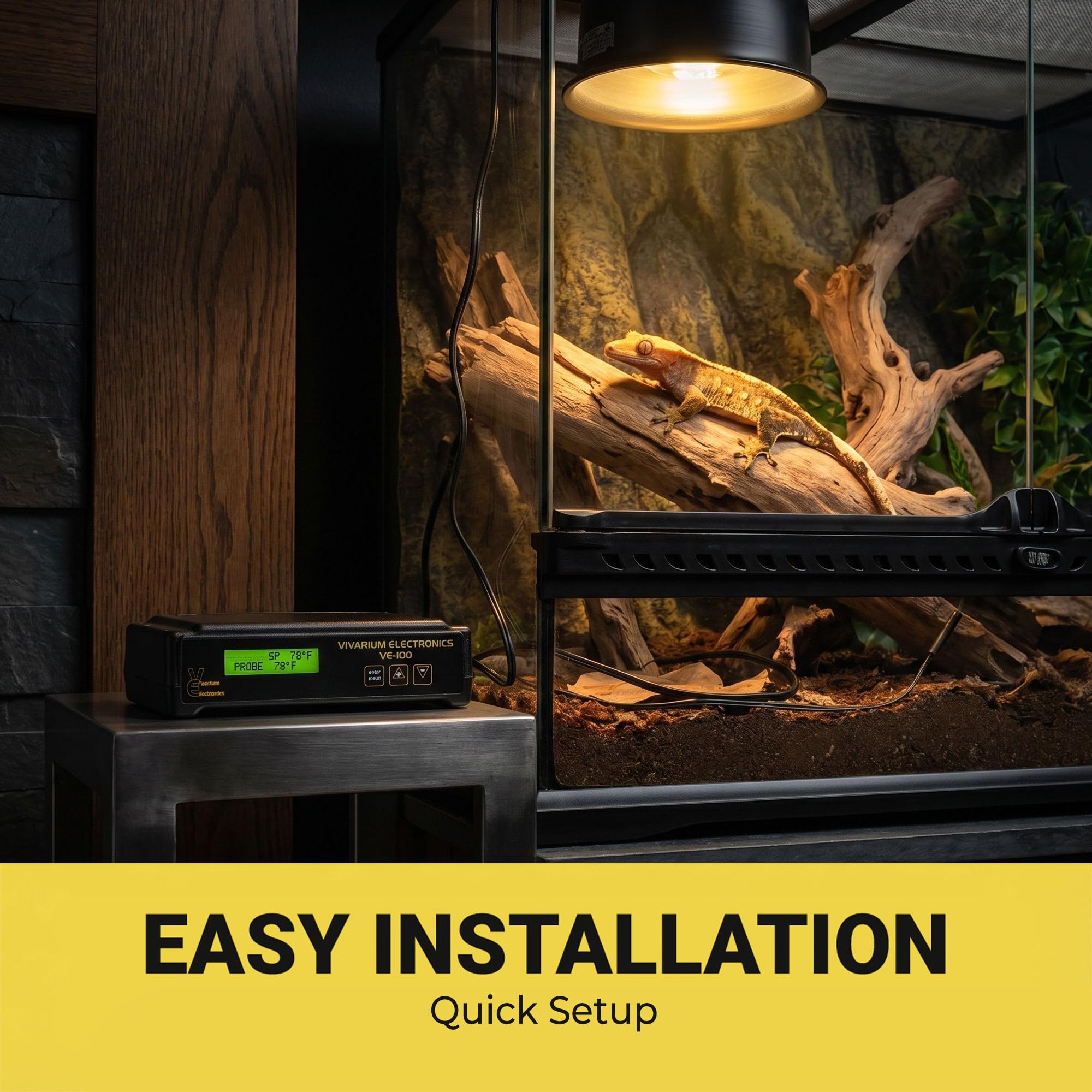 Vivarium Electronics VE-100 en usage avec tapis chauffant montrant stabilité thermique