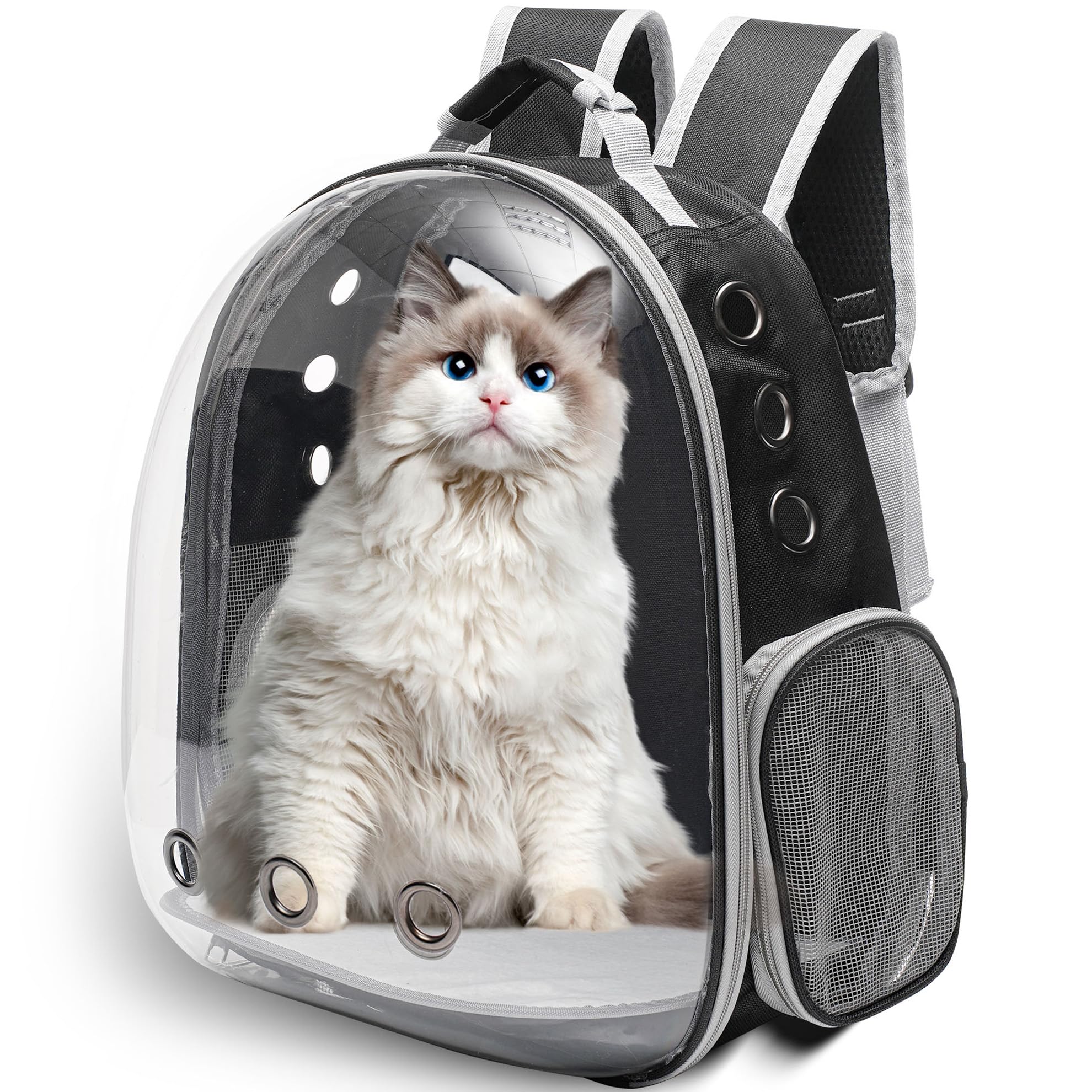 vivicreate sac à dos bulbe avant transparent montrant la vue pour le chat