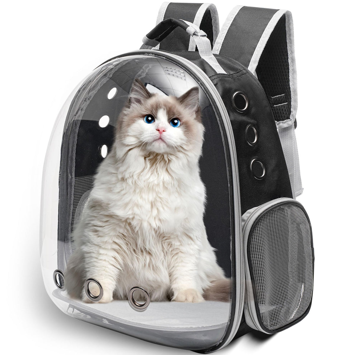 vivicreate sac à dos bulbe avant transparent montrant la vue pour le chat