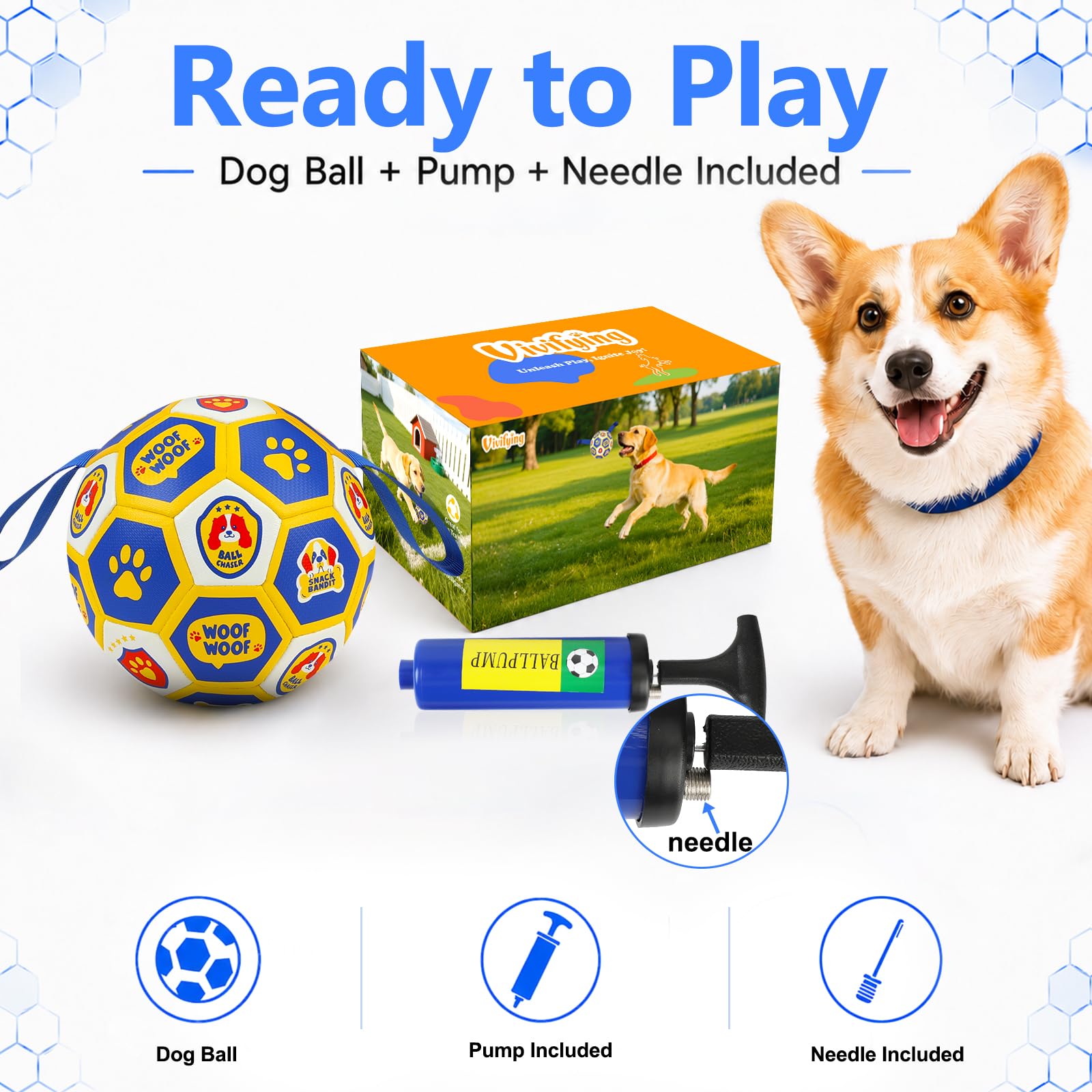 Vivifying chien rapportant ballon à l'intérieur pour jeux calmes et contrôlés