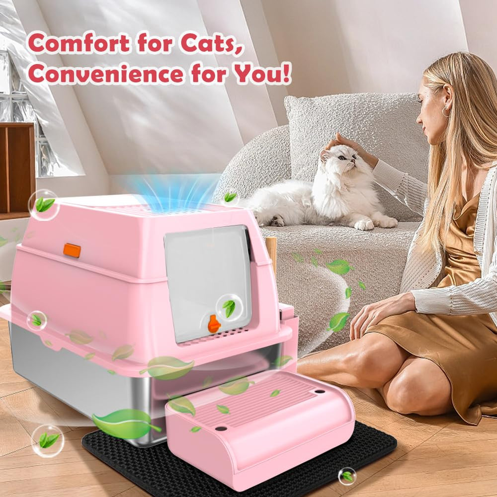 Vivifying échelle pieds illustrant aide pour chatons et seniors pour entrer