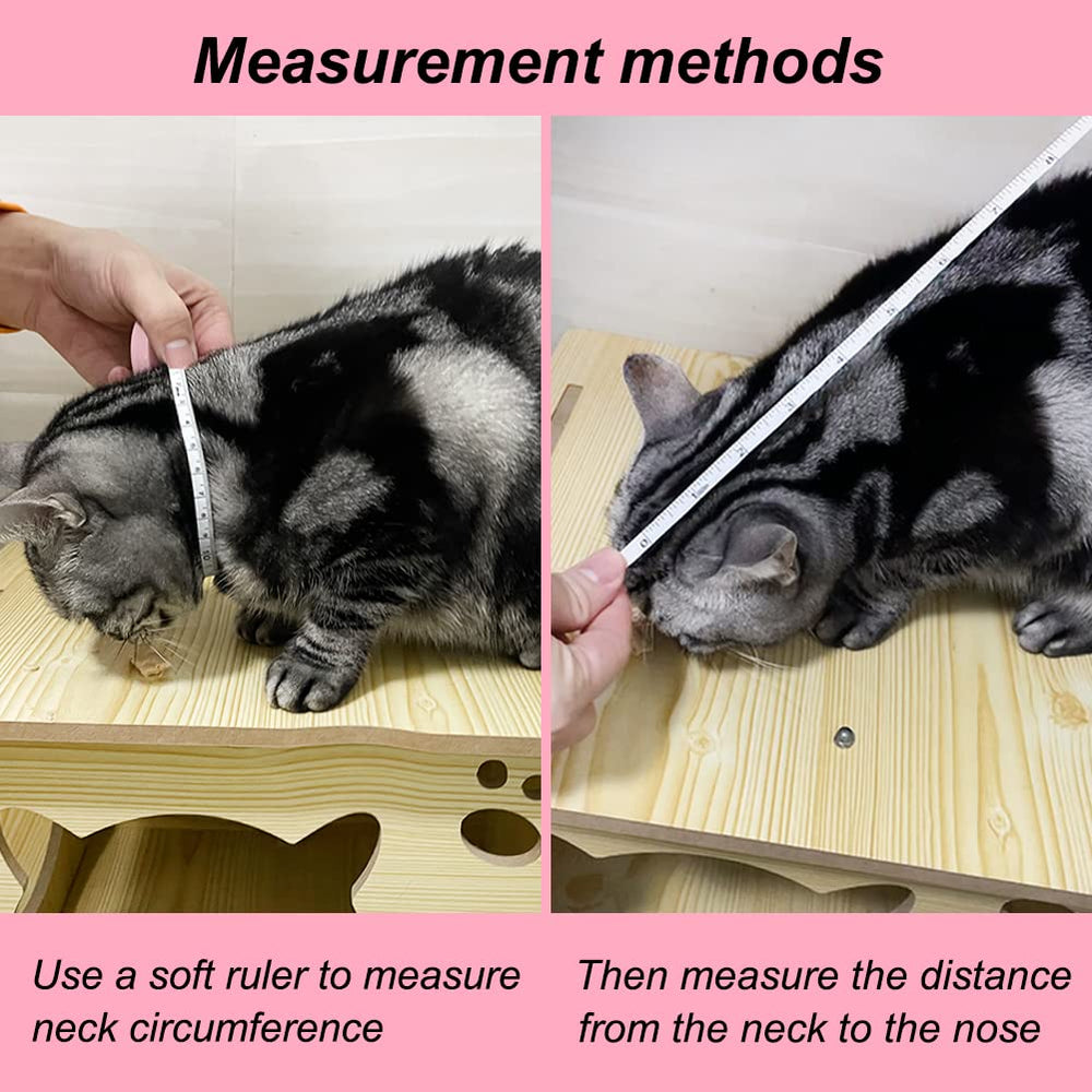 Vivifying comparaison d'échelle montrant la taille M pour petits animaux