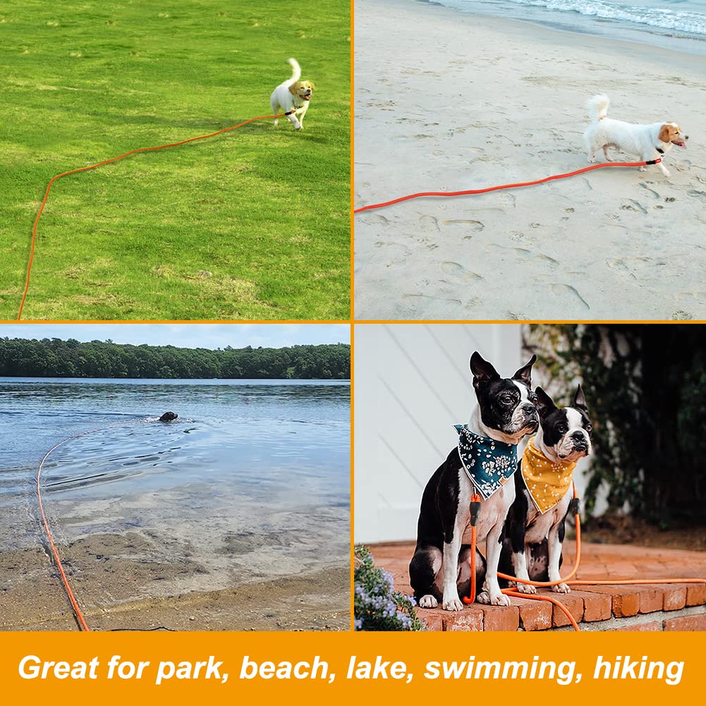 Vivifying scène de plage avec chien utilisant la longe, sorties sans souci