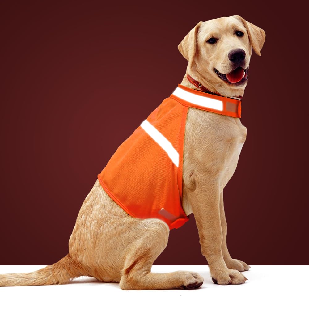 Vizbrite veste orange vue avant montrant la fixation velcro et confort