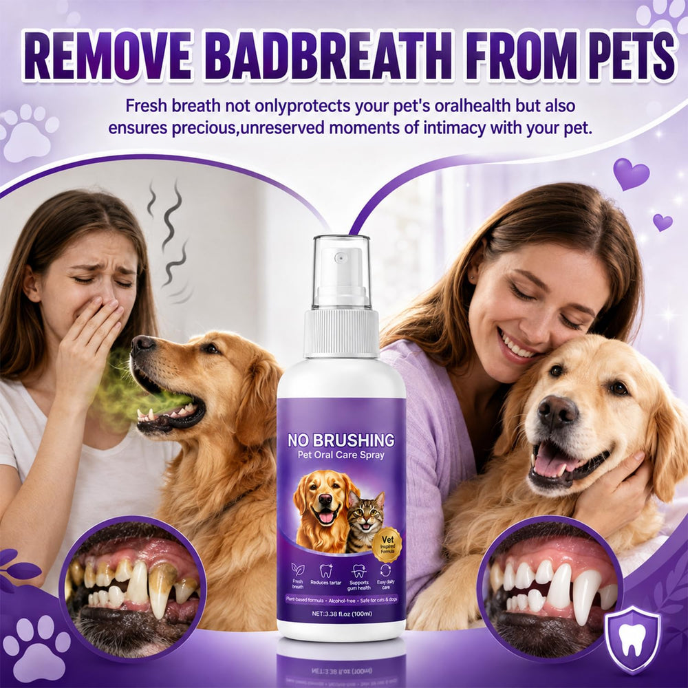Chat acceptant Vizela spray pour hygiène buccale, bénéfice confort