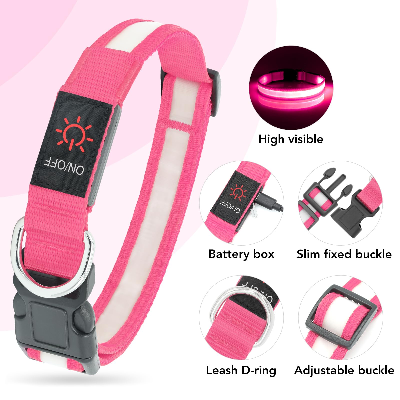 VIZPET collier en usage lors d'une promenade nocturne pour visibilité