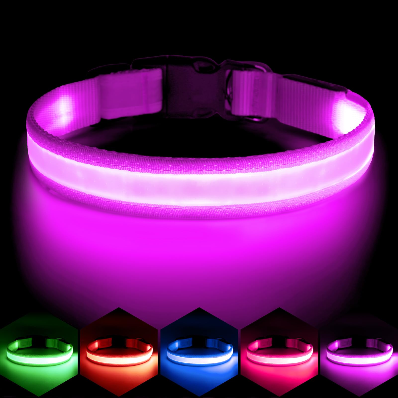 VIZPET collier LED vue avant montrant la bande lumineuse et sécurité accrue