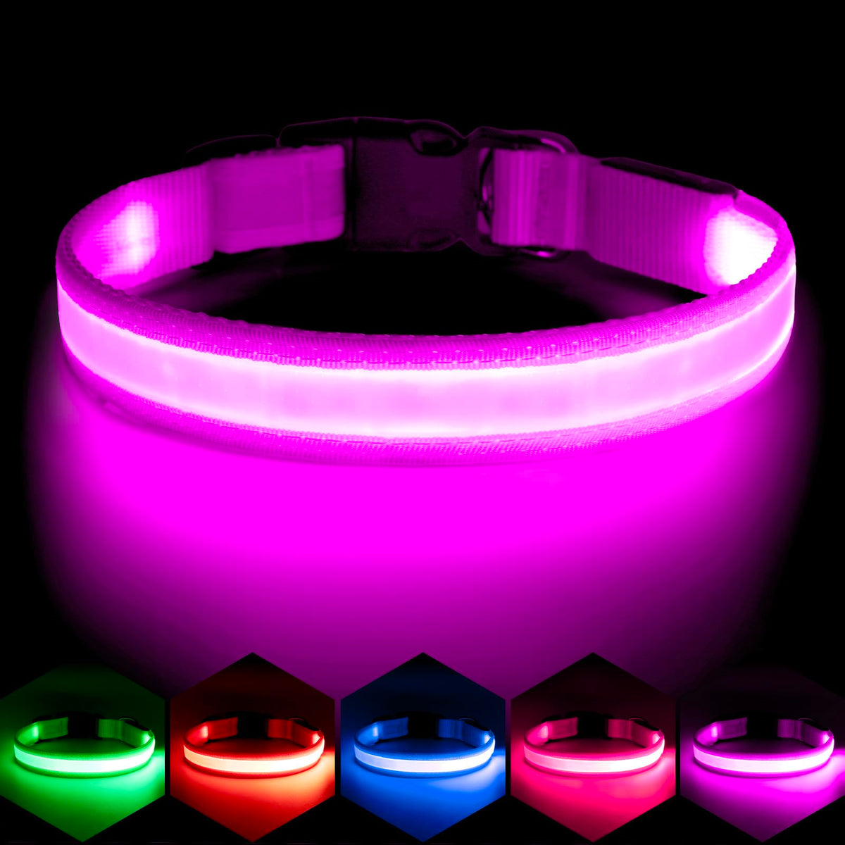 VIZPET collier LED vue avant montrant la bande lumineuse et sécurité accrue