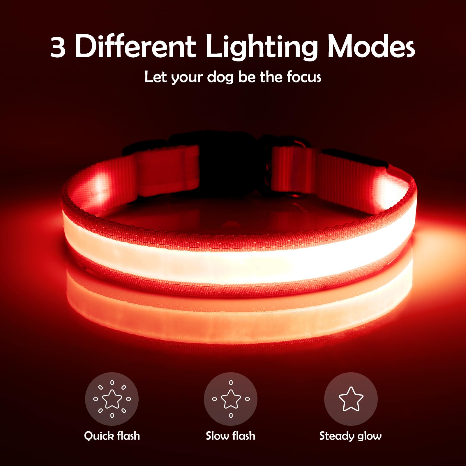 VIZPET collier LED boucle ajustable et anneau en D pour fixation solide