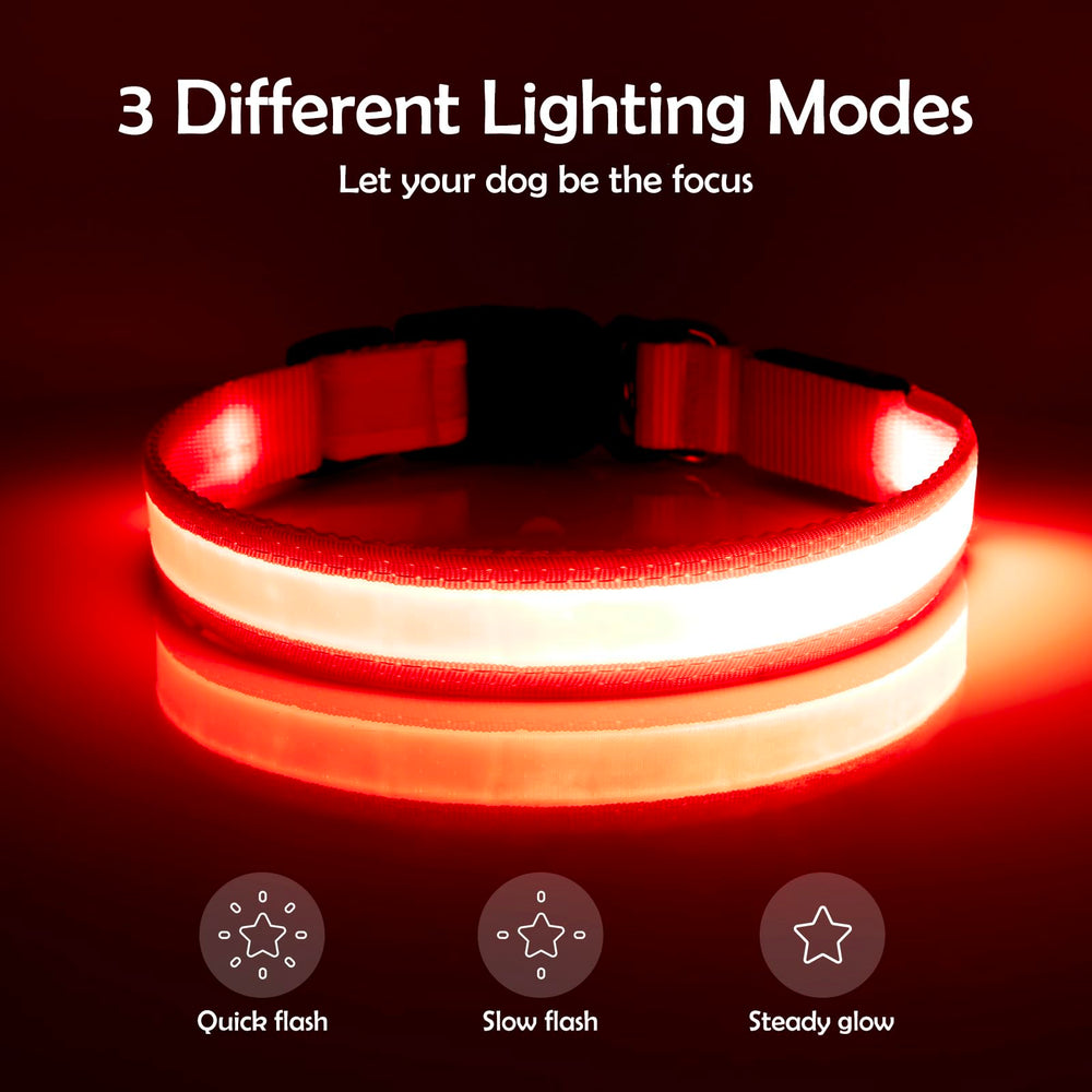 VIZPET collier LED boucle ajustable et anneau en D pour fixation solide