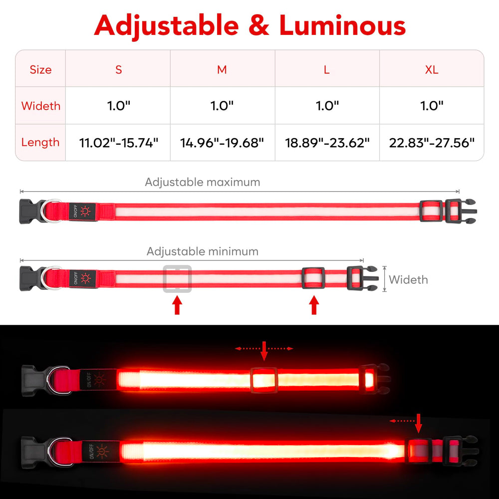 VIZPET collier LED câble USB branché montrant recharge rapide et pratique