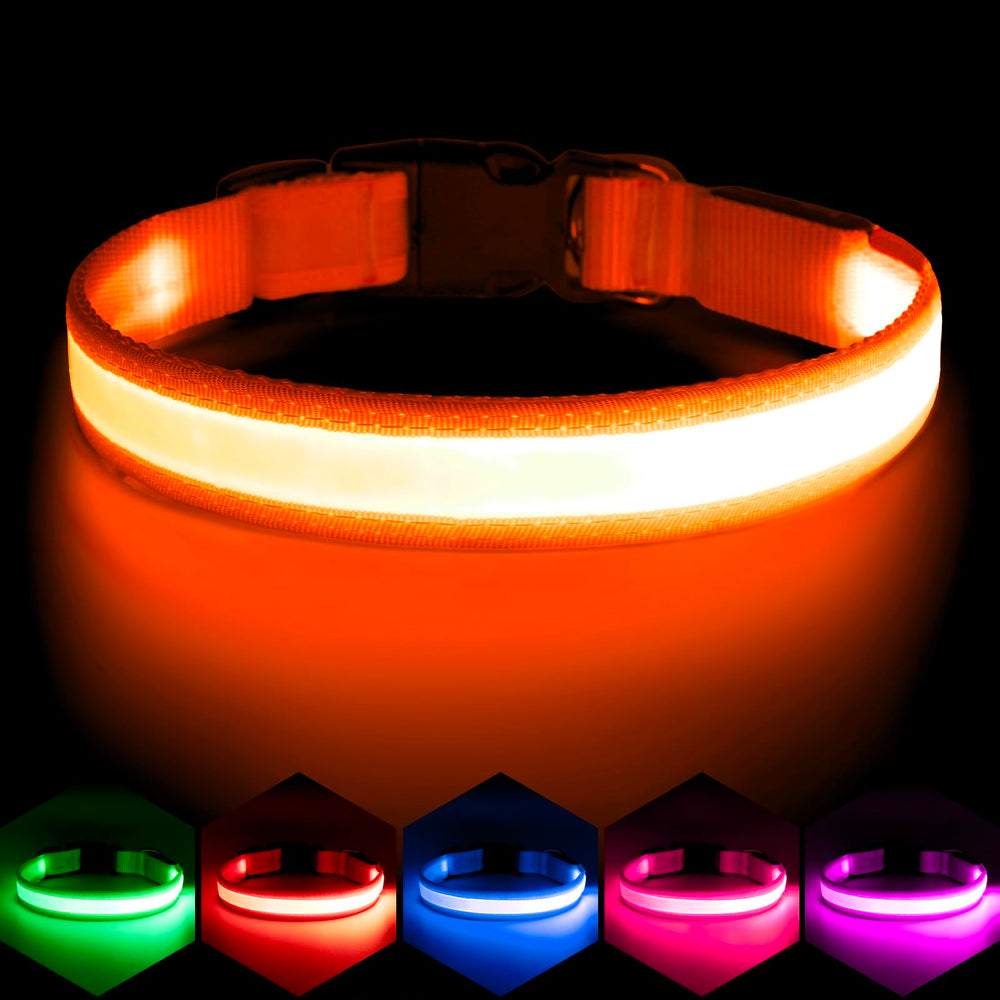 VIZPET collier LED face avant montrant la lumière vive et meilleure visibilité