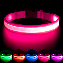 VIZPET collier LED face avant montrant le design et la sécurité