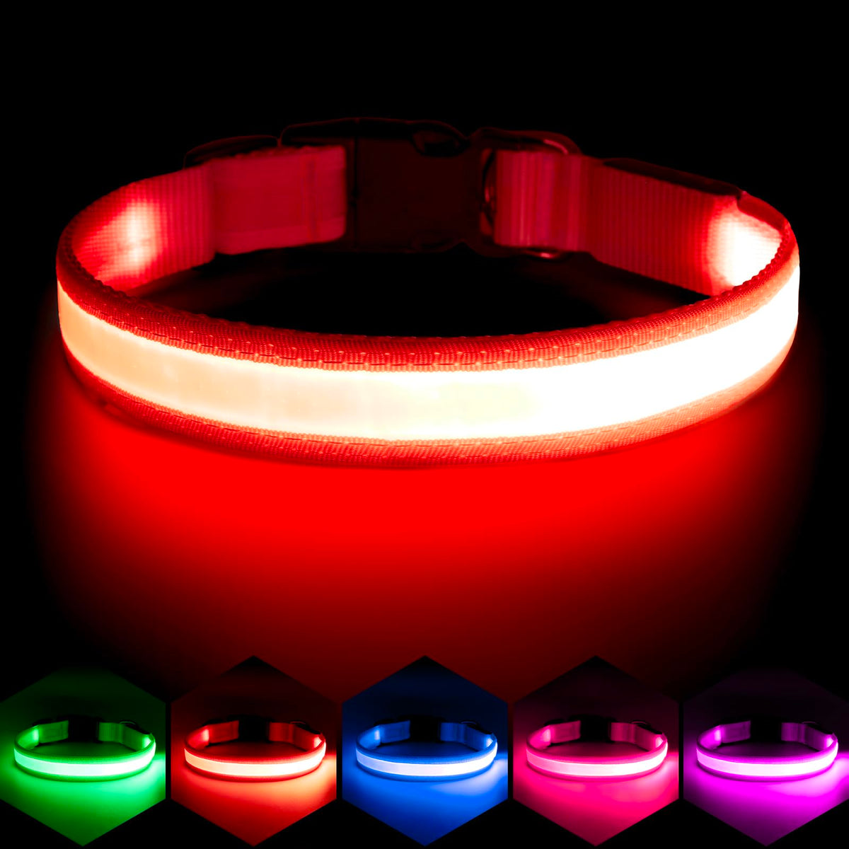 VIZPET collier LED emballage avant montrant design et couleur pour sécurité