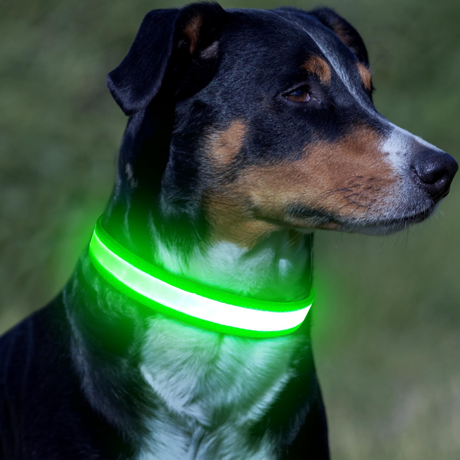 VIZPET collier LED rembourrage doux illustrant confort pour port prolongé
