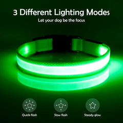VIZPET collier LED détail de la boucle et D-ring robuste pour fixation de laisse sûre