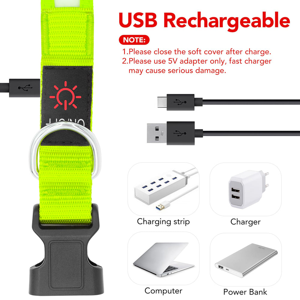 VIZPET collier LED gros plan fibres optiques illustrant lumière uniforme pour repérage