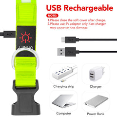 VIZPET collier LED gros plan fibres optiques illustrant lumière uniforme pour repérage