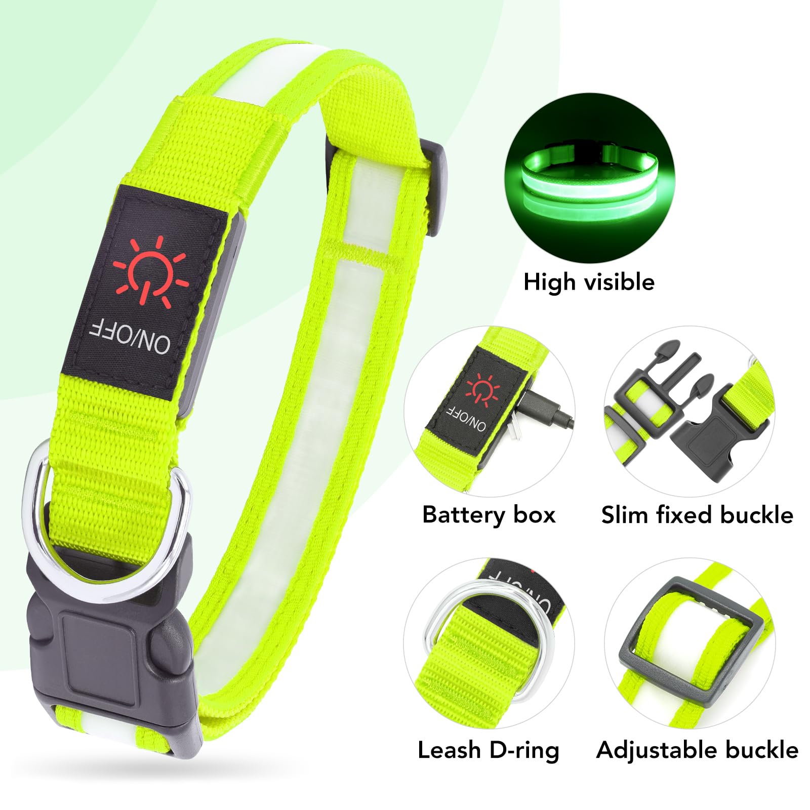 VIZPET collier LED porté sur chien la nuit montrant visibilité en promenade sécurisée