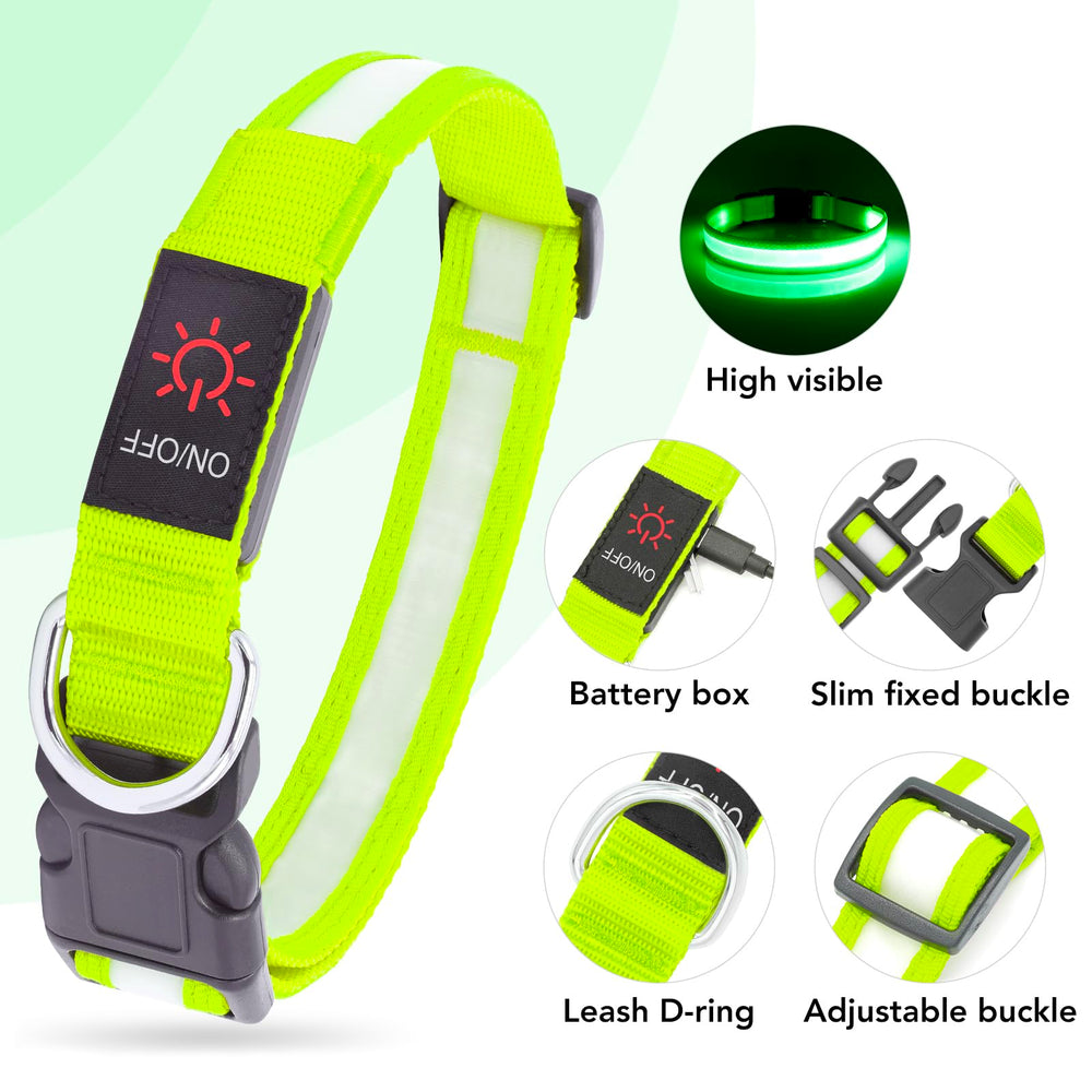 VIZPET collier LED porté sur chien la nuit montrant visibilité en promenade sécurisée