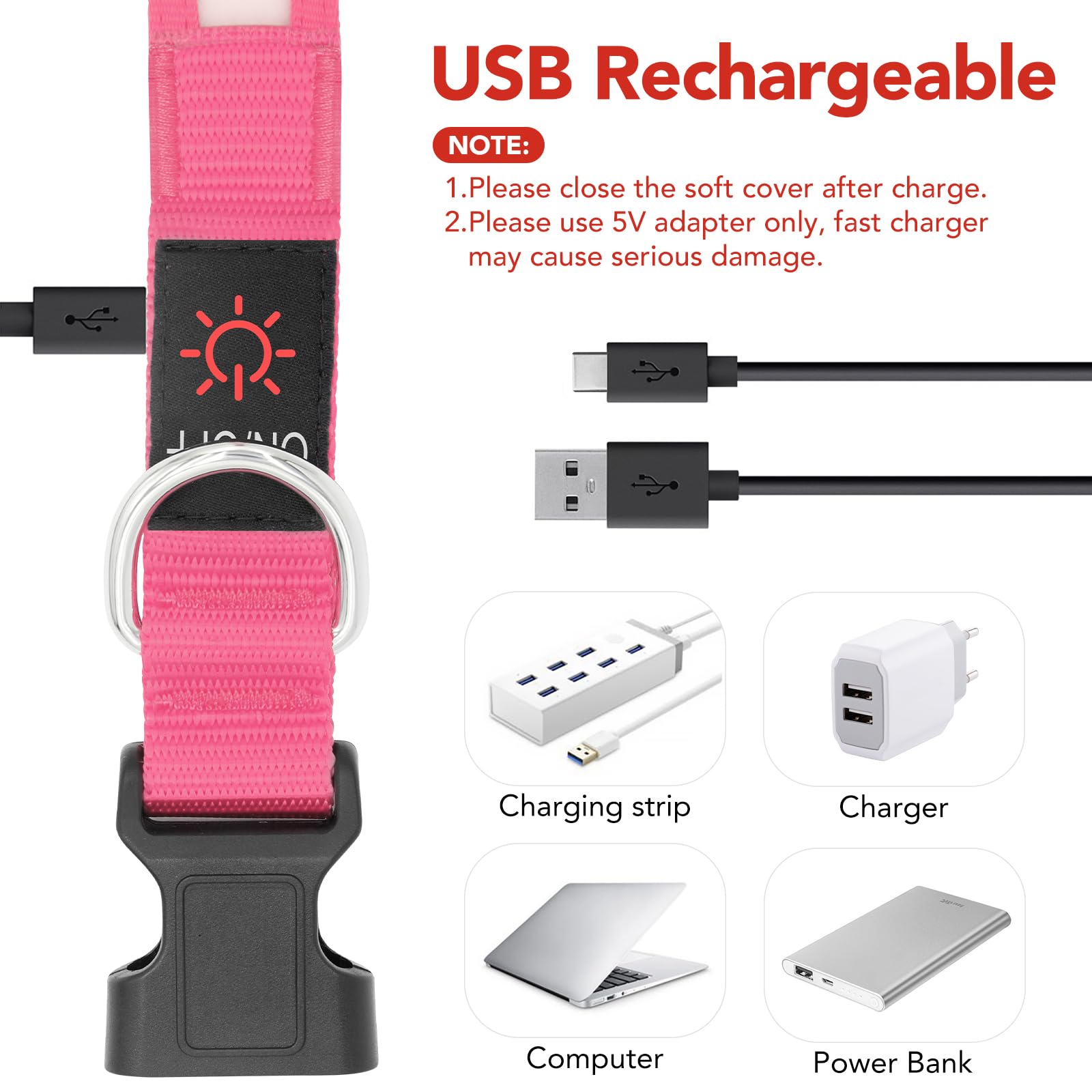 VIZPET collier branché en USB pour recharge rapide et pratique