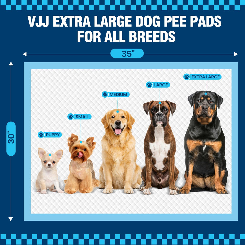 VJJ chiot utilisant le tapis pour un entraînement propre