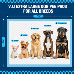 VJJ chiot utilisant le tapis pour un entraînement propre