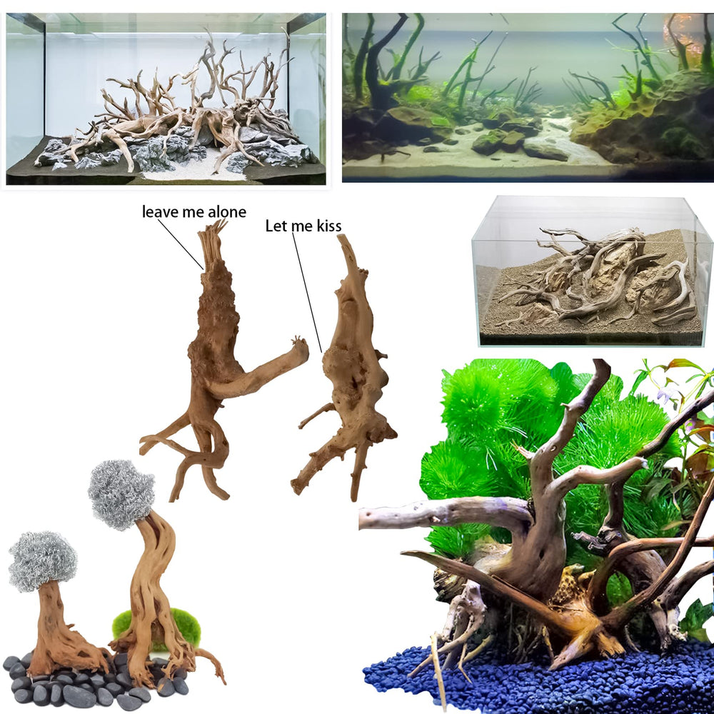 Vmiapxo bois avec mousse fixée, idéal pour anubias et cryptocoryne