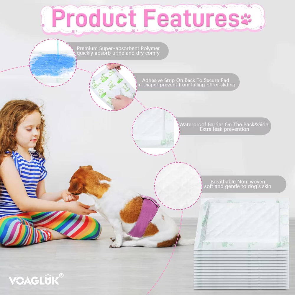 VoagLuk comparaison de tailles d'inserts pour petits et grands chiens