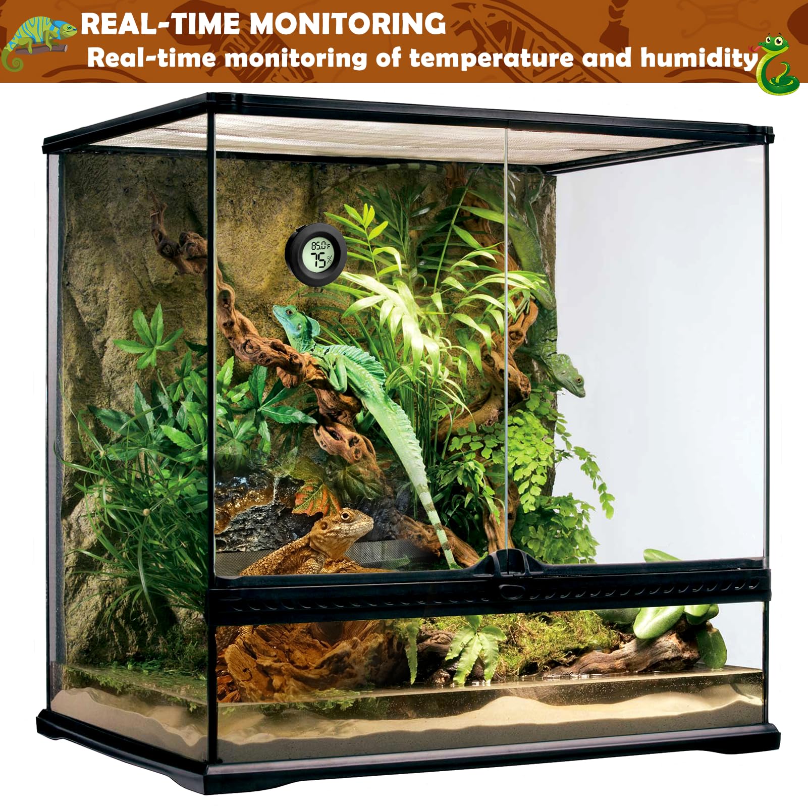 Vodolo deux appareils dans terrarium illustrant contrôle multizone efficace